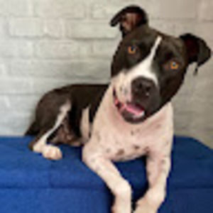 Meet your Posher, Bianca